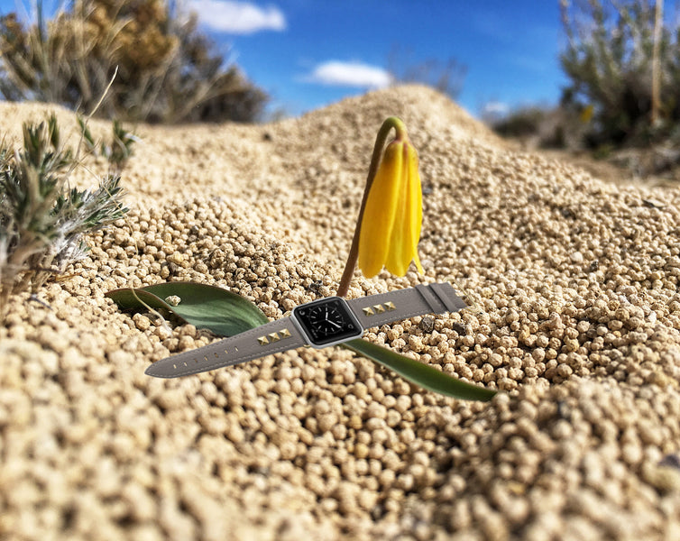 swees apple watch strap make you just like desertflower